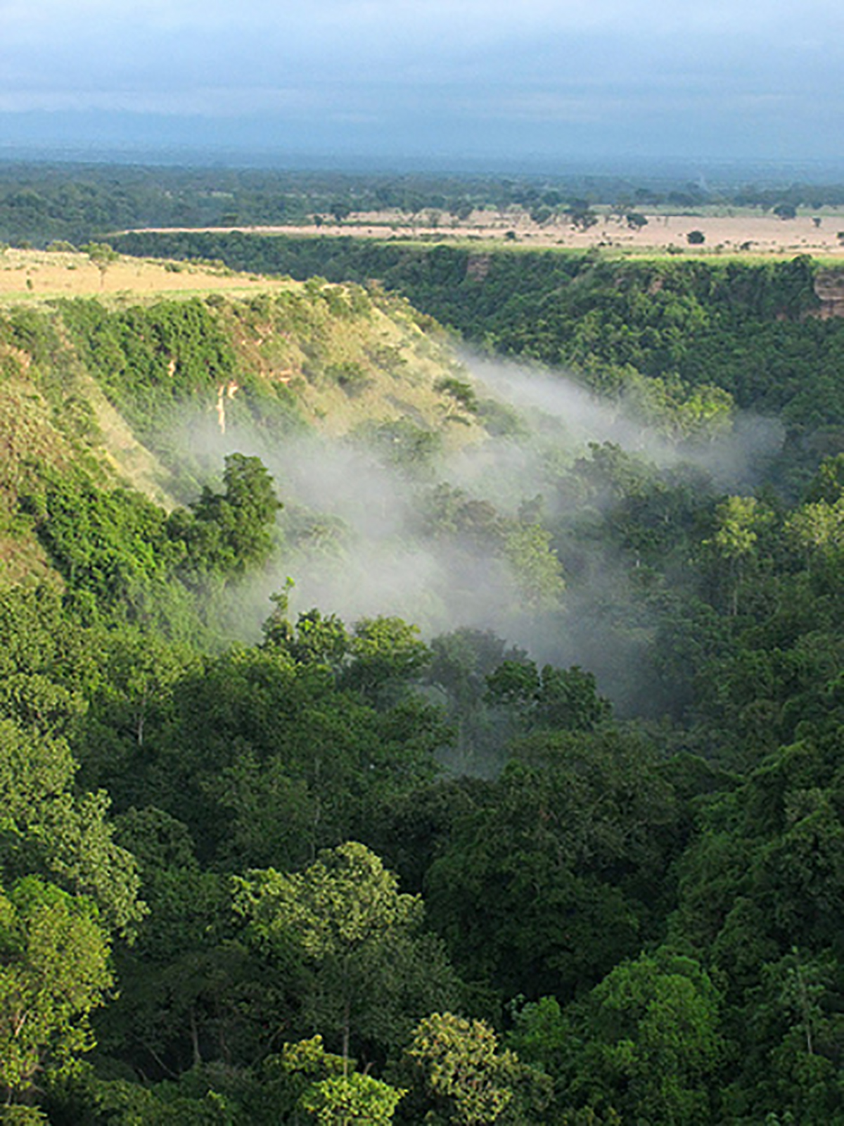 PHOTO: The Queen Elizabeth National Park in Uganda.