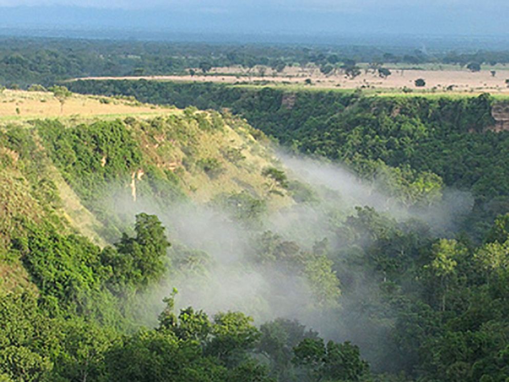 PHOTO: The Queen Elizabeth National Park in Uganda.
