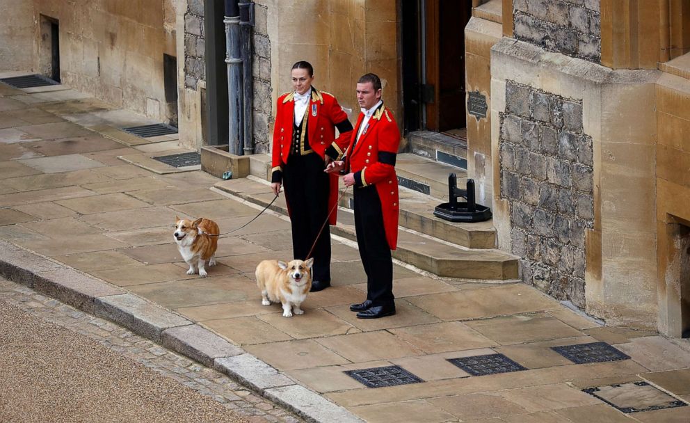 PHOTO: The royal corgis await the cortege on the day of the state funeral and burial of Britain's Queen Elizabeth, at Windsor Castle in Windsor, Britain, Sept. 19, 2022.