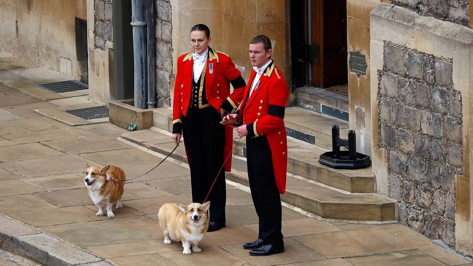 PHOTO: The royal corgis await the cortege on the day of the state funeral and burial of Britain's Queen Elizabeth, at Windsor Castle in Windsor, Britain, Sept. 19, 2022.