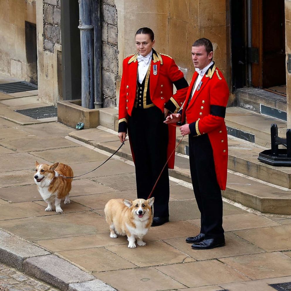 VIDEO: Queen Elizabeth II's corgis and pony await her coffin at Windsor Castle