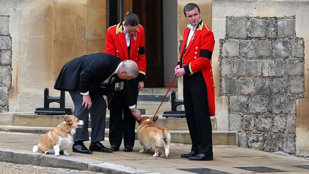 PHOTO: Prince Andrew, Duke of York speaks with members of the Royal Household and plays with the Corgis on Sept. 19, 2022 in Windsor, England.