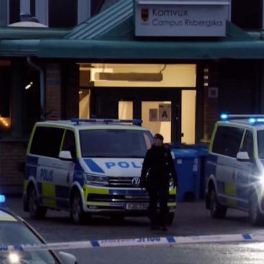 Swedish police said the alleged shooter was among the dead.