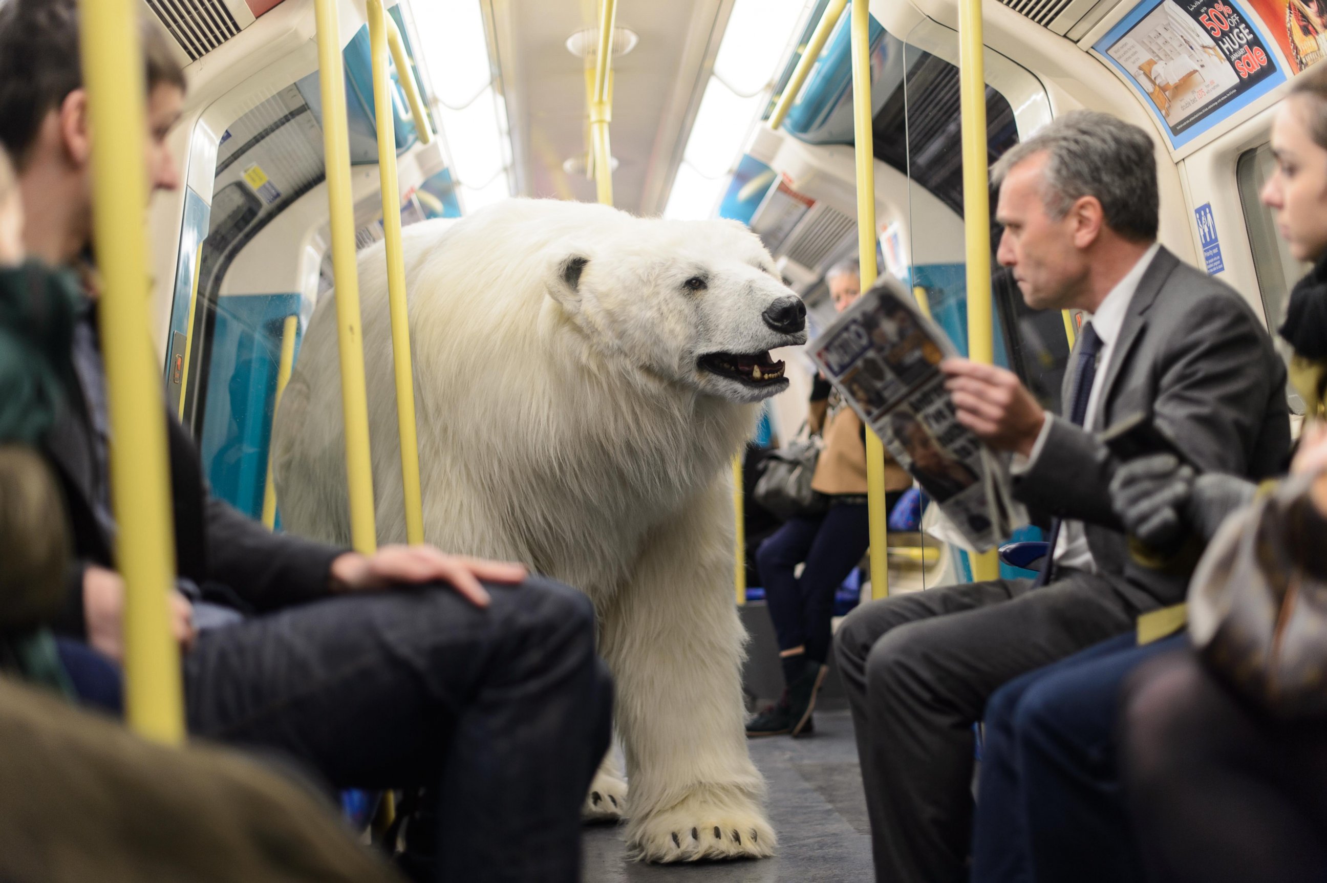 PHOTO: An 8 ft long, fully animated ?adult male polar bear? was unleashed on the freezing streets of London to mark the launch of Sky Atlantic?s hotly anticipated arctic crime drama ?Fortitude, Jan. 27, 2015?.