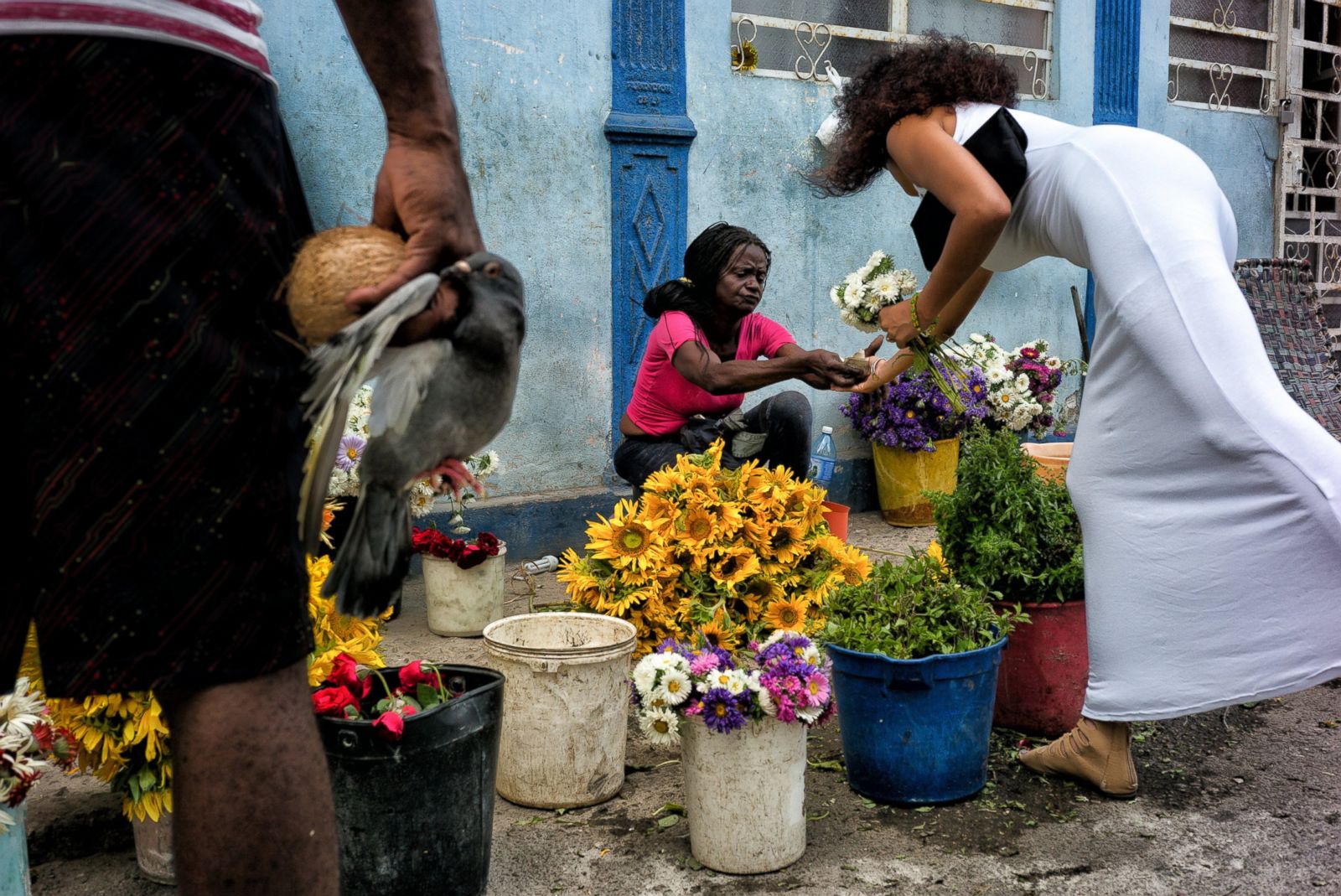 The Changing Face of Cuba Photos | Image #91 - ABC News