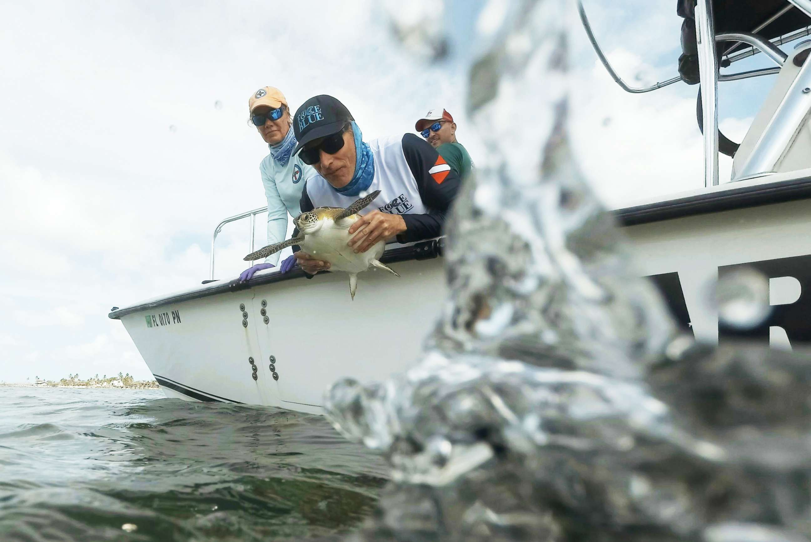 PHOTO: Force Blue mission leader Roger Sparks releases a green sea turtle back into the ocean after analysis while lead scientist from The Turtle Hospital Bette Zirkelbach, left, watches.