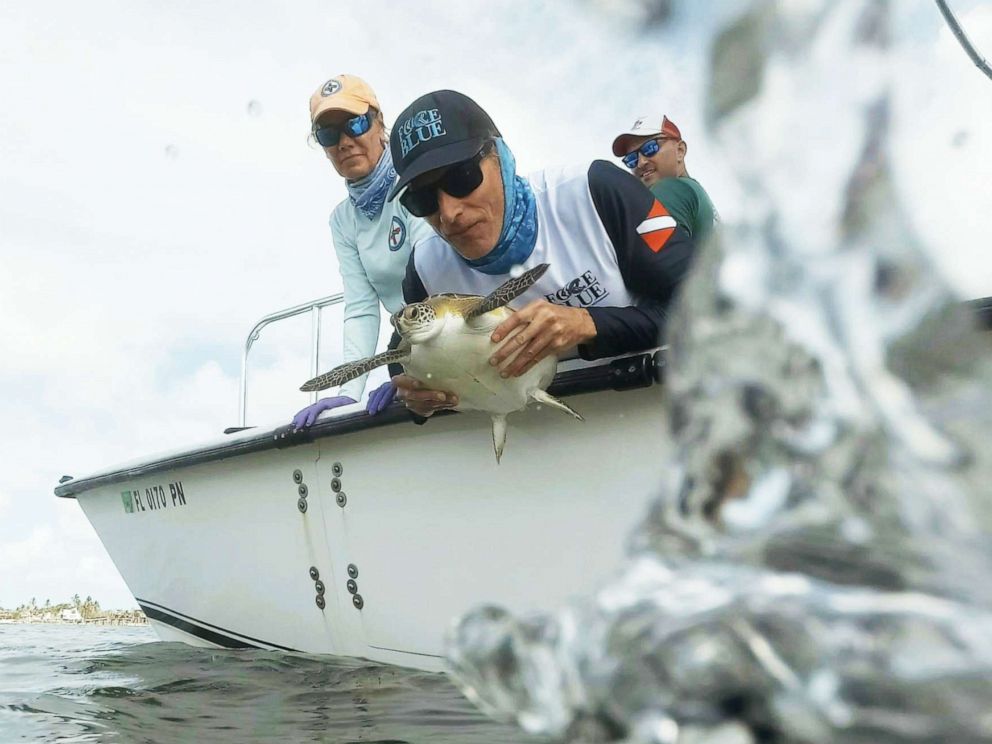 PHOTO: Force Blue mission leader Roger Sparks releases a green sea turtle back into the ocean after analysis while lead scientist from The Turtle Hospital Bette Zirkelbach, left, watches.