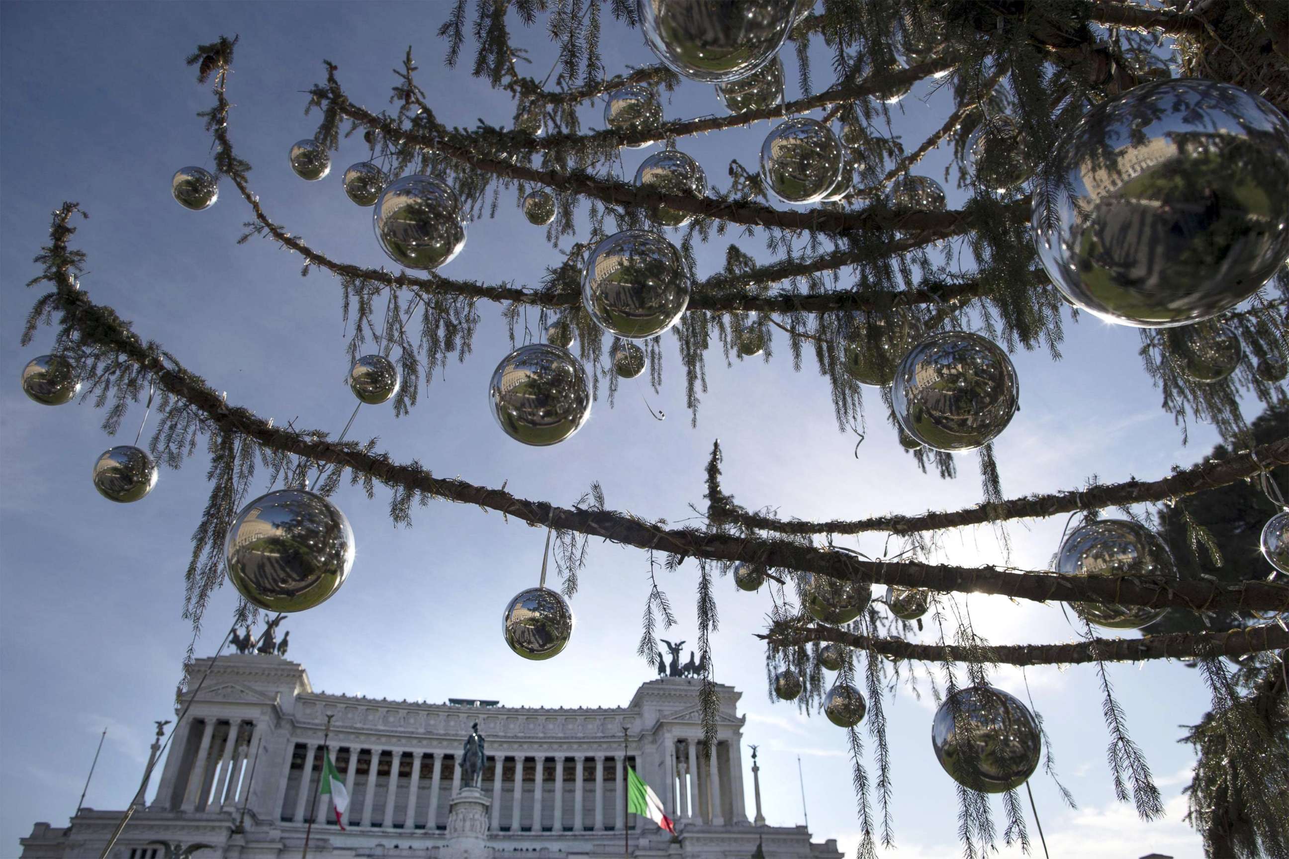 PHOTO: A close up of branches of Rome's official Christmas tree, Dec. 19, 2017. Rome's official Christmas tree is losing so many needles so fast it has become a jolly joke for city residents.  