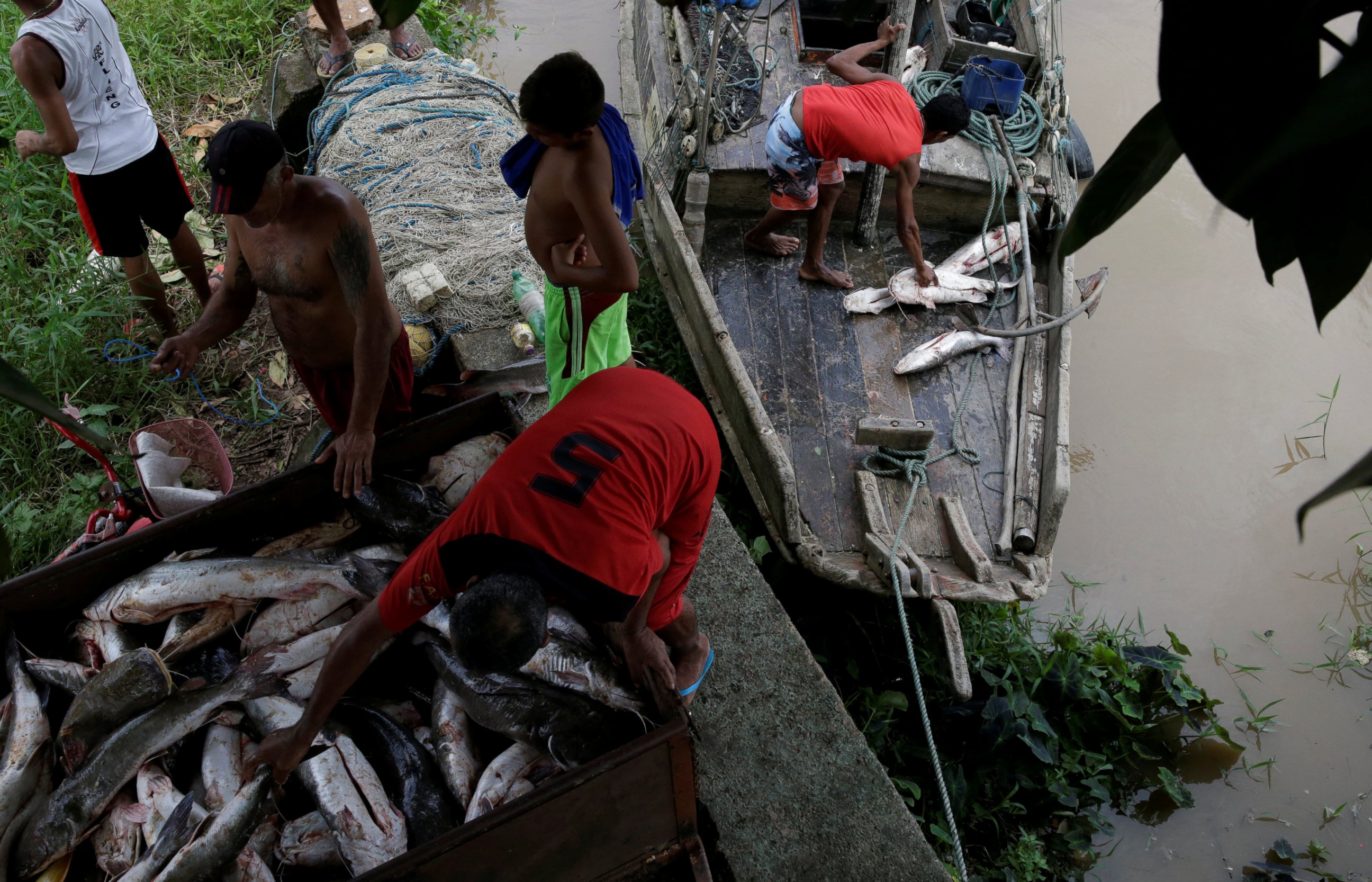 PHOTO: Fishermen unload fish from their boat on the banks of Amapa Grande River on the coast of Amapa state, in Amapa city, northern Brazil, April 1, 2017.  