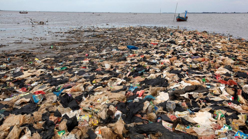 PHOTO: A small island formed by the accumulation of trash is pictured in Tanjung Burung, on the coast of Indonesia's Banten province June 5, 2013.