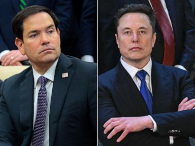 Musk, Rubio clashed in front of Trump during Cabinet meeting: Sources