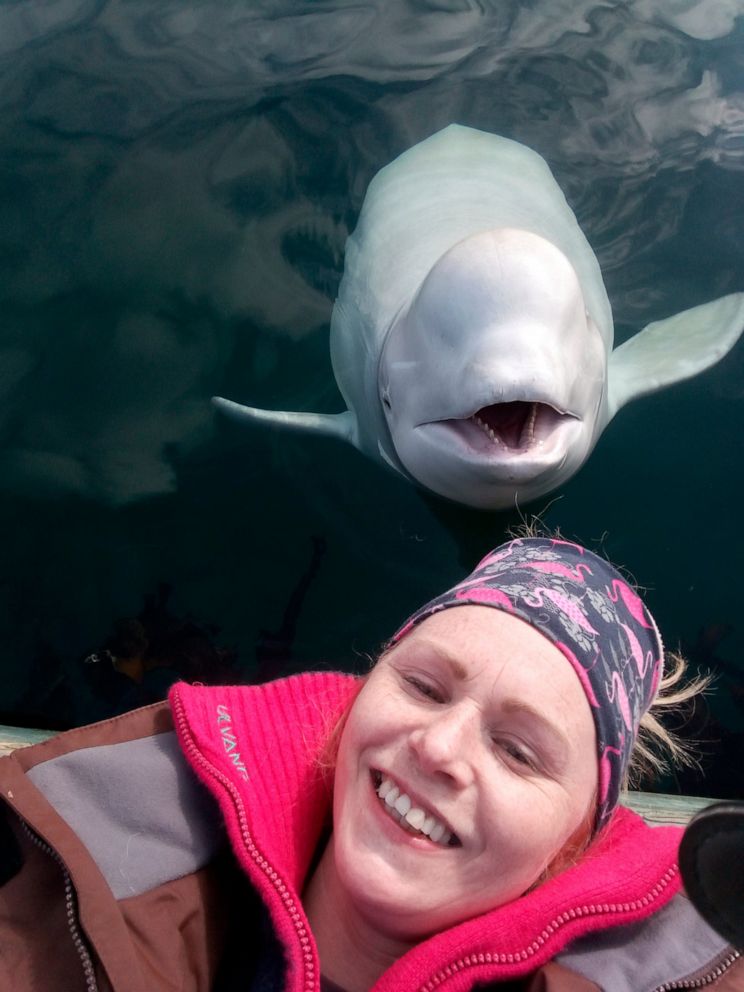 PHOTO: In this photo taken on Monday, April 29, 2019, Linn Saether poses with a beluga whale, days after a fisherman removed a harness with a mount for camera from the mammal, in Tufjord, Norway.