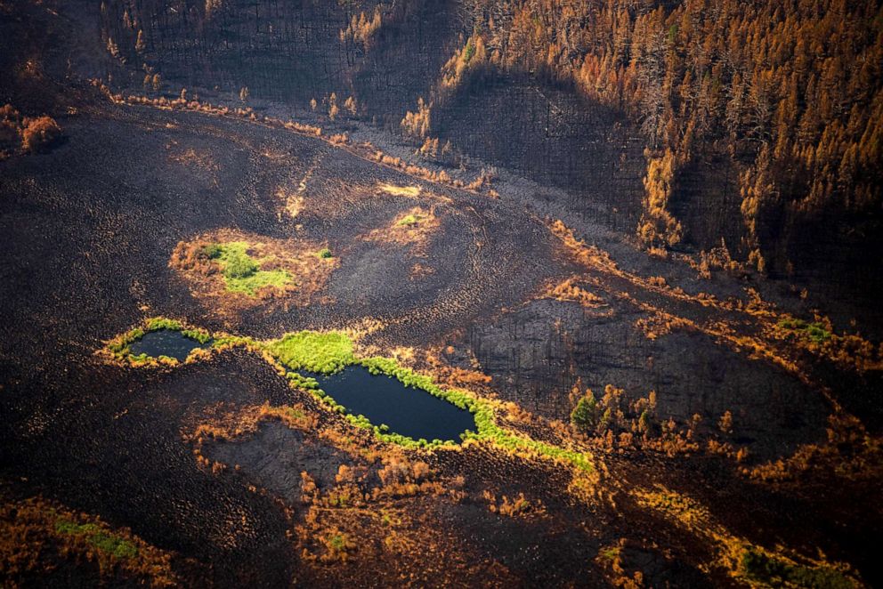 PHOTO: The remains of a burned forest at Gorny Ulus area west of Yakutsk, in the republic of Sakha, Siberia, July 27, 2021.