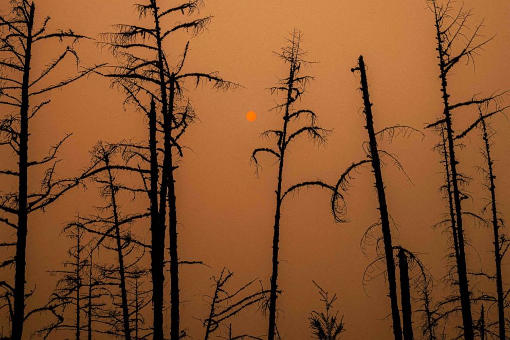 PHOTO: The sunlight is filtered through smoke from burning forests near the village of Magaras in the republic of Sakha, Siberia, July 27, 2021.