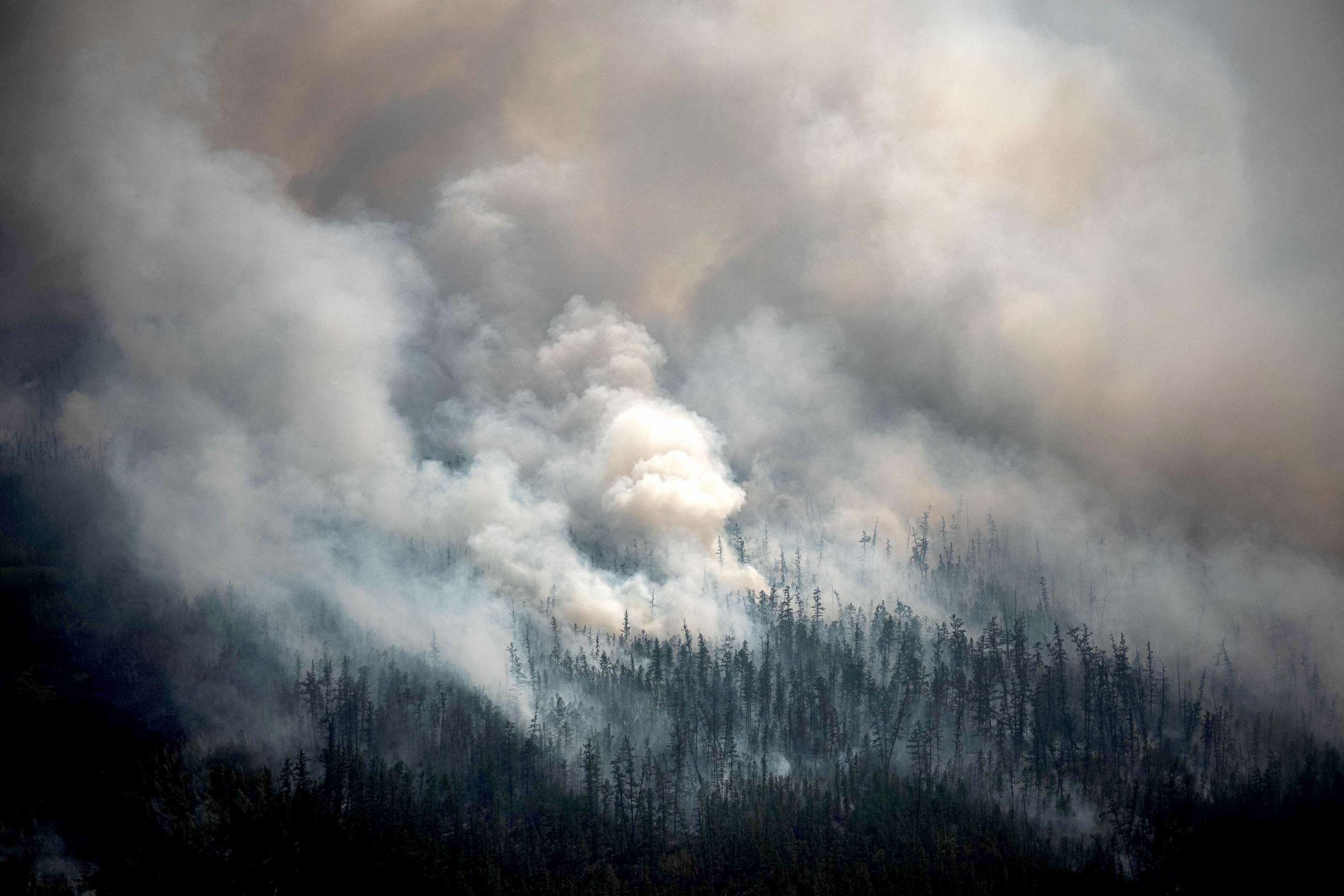 PHOTO: Smoke rises from a forest fire outside the village of Berdigestyakh, in the republic of Sakha, Siberia, July 27, 2021.