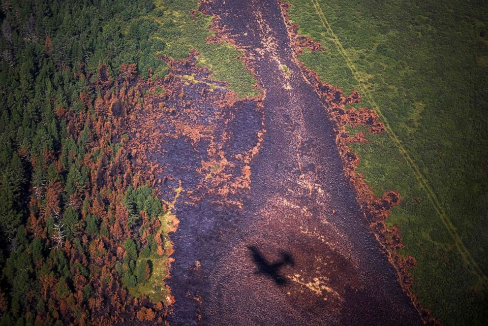 PHOTO: The shadow of an aircraft of the Air Forest Protection Service flys over a burned forest in Sakha, Russia, July 27, 2021.