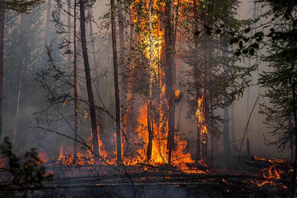 PHOTO: A forest fire burns outside the village of Byas-Kyuel, Russia, July 26, 2021.