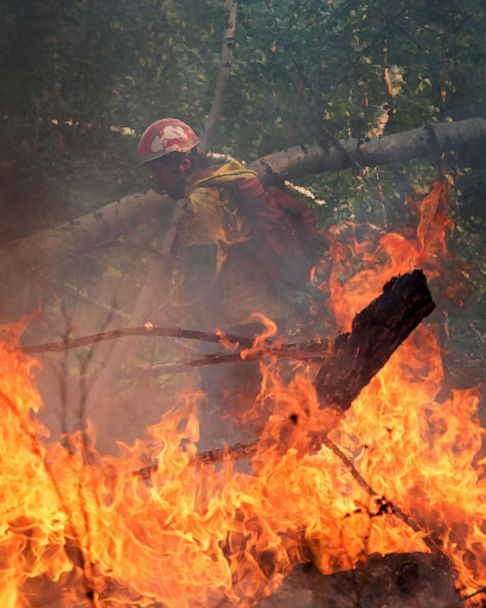 Siberian wildfires now bigger than all other fires in world