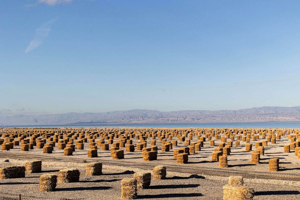 PHOTO: In this Dec. 4, 2022, file photo, bales of hay are placed strategically to reduce windblown dust, part of a multi million dollar environmental mitigation project, are seen near the shore of the Salton Sea, in Salton City, Calif.