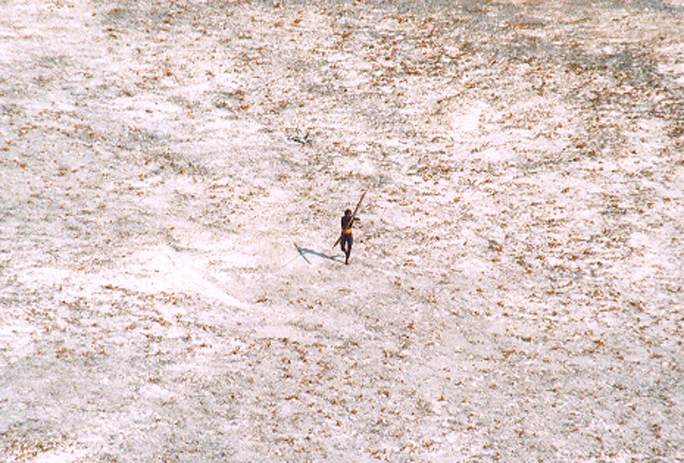 PHOTO: In this file photo a Sentinel tribal man aims with his bow and arrow at an Indian Coast Guard helicopter as it flies over the island for a survey of the damage caused by the tsunami in India's Andaman and Nicobar archipelago, Dec. 28, 2004.