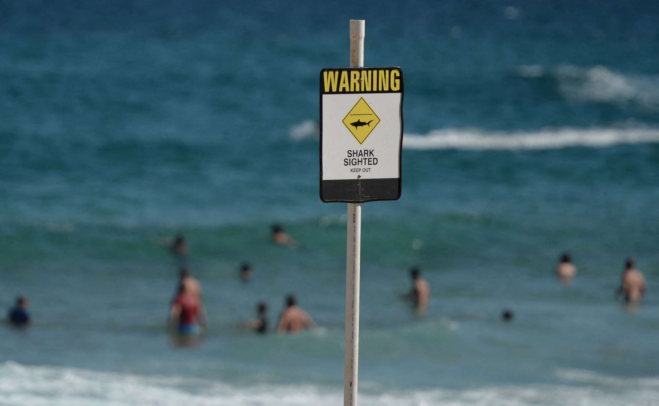 PHOTO: (FILES) A file photo taken January 17, 2015 shows swimmers seen in the water despite shark warning signs posted on the beach in the northern New South Wales city of Newcastle.