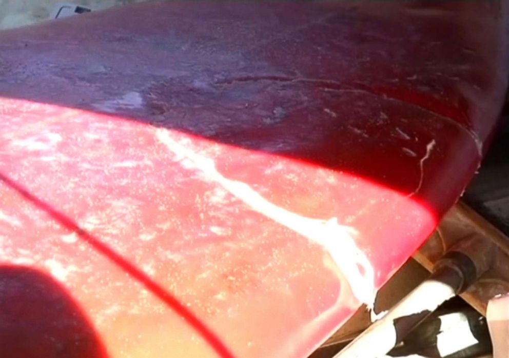 PHOTO: Jason Longrass, 41, was bitten in the thigh after the shark attack on Alejandro Travaglini, 37, earlier in the day, April 16, 2018. Longrass surfboard shows evidence of bite marks.