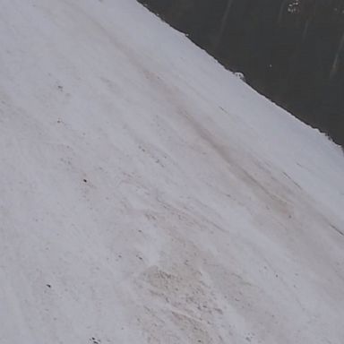 Terrifying footage shows a bear chasing the skier on slopes at a Romanian ski resort.