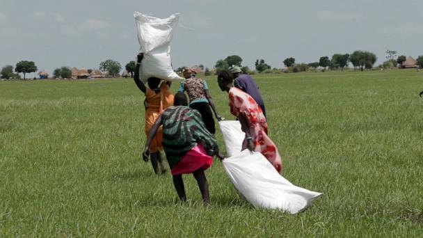 Airdrops deliver food in hard-to-reach South Sudan as US cuts back on foreign aid