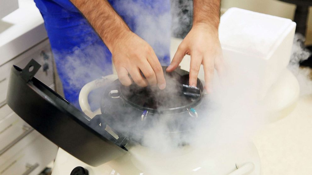 PHOTO: A liquid nitrogen bank containing sperm and eggs samples is seen in this undated stock photo.