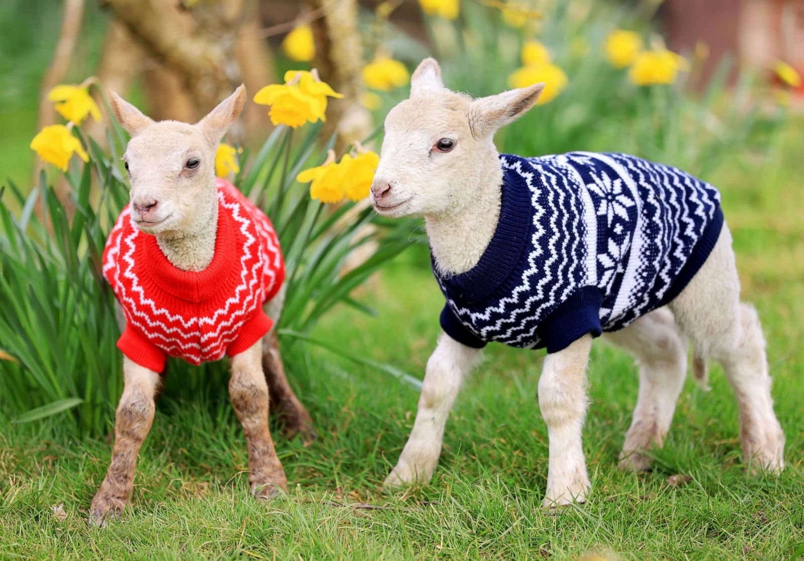 Spring Around The World Photos Abc News
