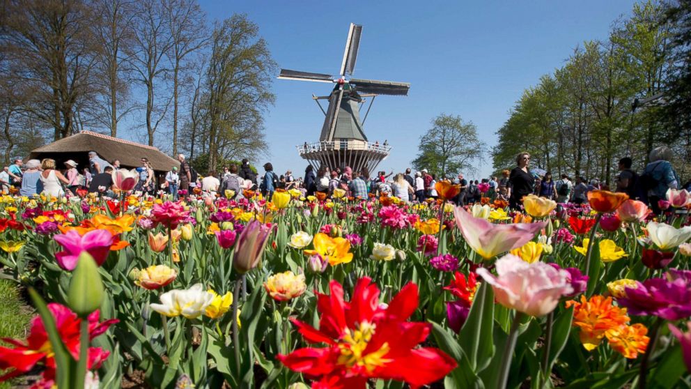 Tourists visit the Keukenhof spring garden in Lisse, west central Netherlands, April 20, 2018. De Keukenhof, open till May 13th, is an 80 acres floral exhibit filled with seven million tulips, daffodils and hyacinths which attracts around 1 million tourists from all over the world.