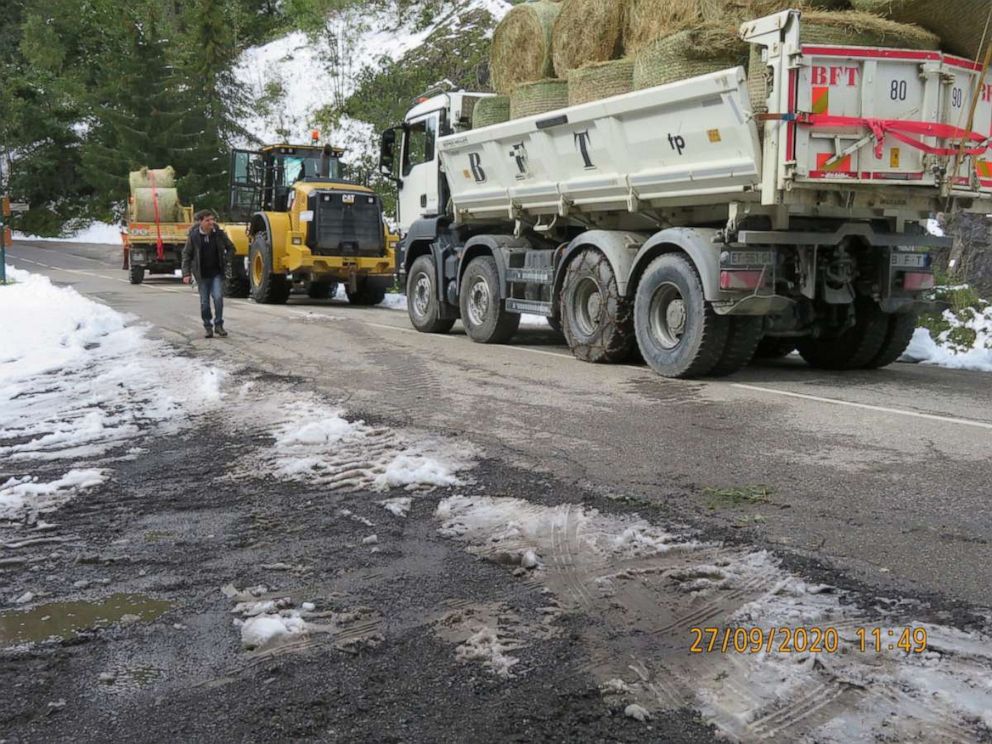 PHOTO: Emergency rescue operation launched by local officials to transport six tons of hay to the stranded sheep.