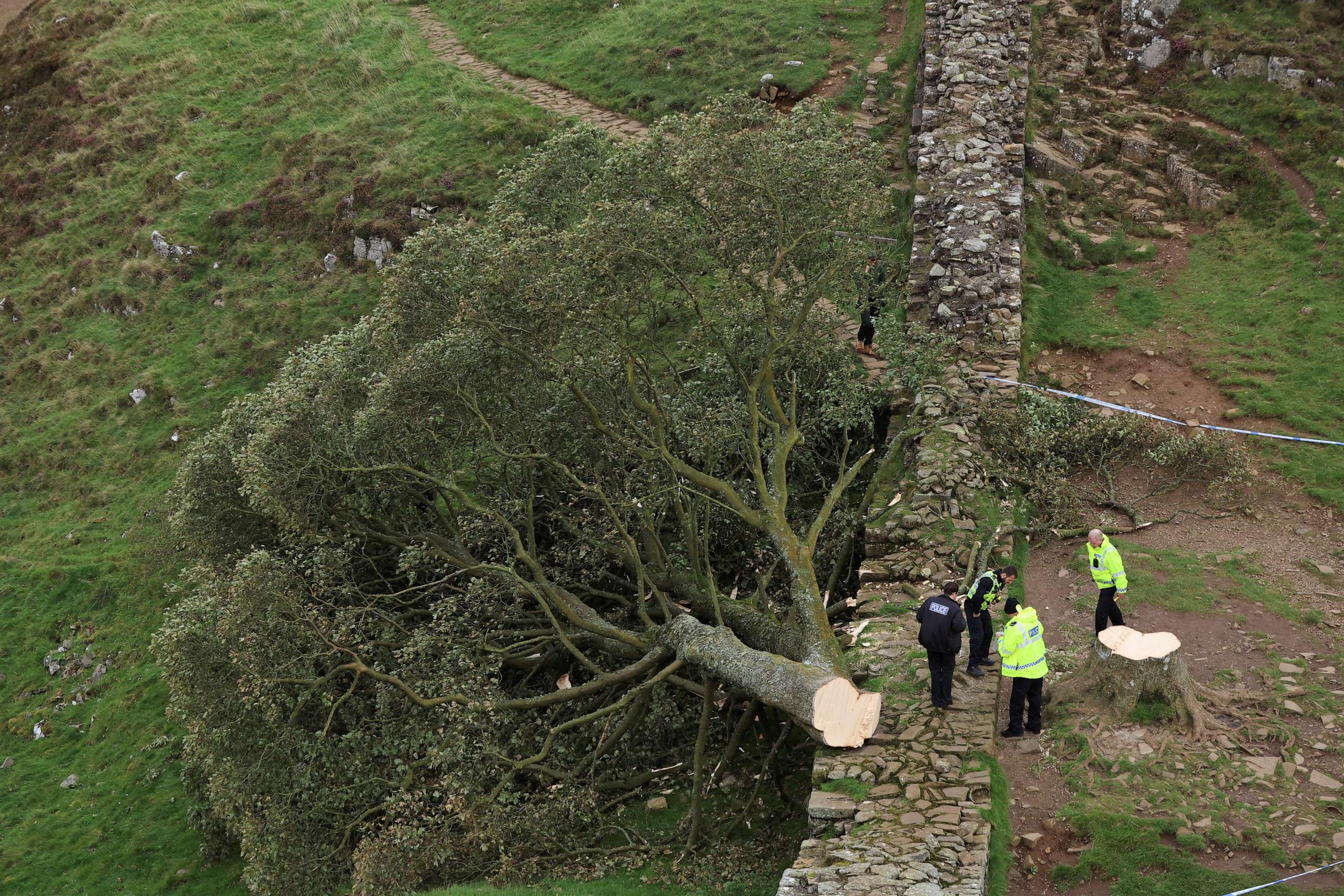 FOTO: Celkový pohled na strom Sycamore Gap, který byl pokácen, v Northumberlandu v Británii, 28. září 2023.