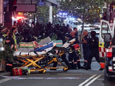 Sydney stabbing: 6 dead, suspect killed in attack at major shopping mall