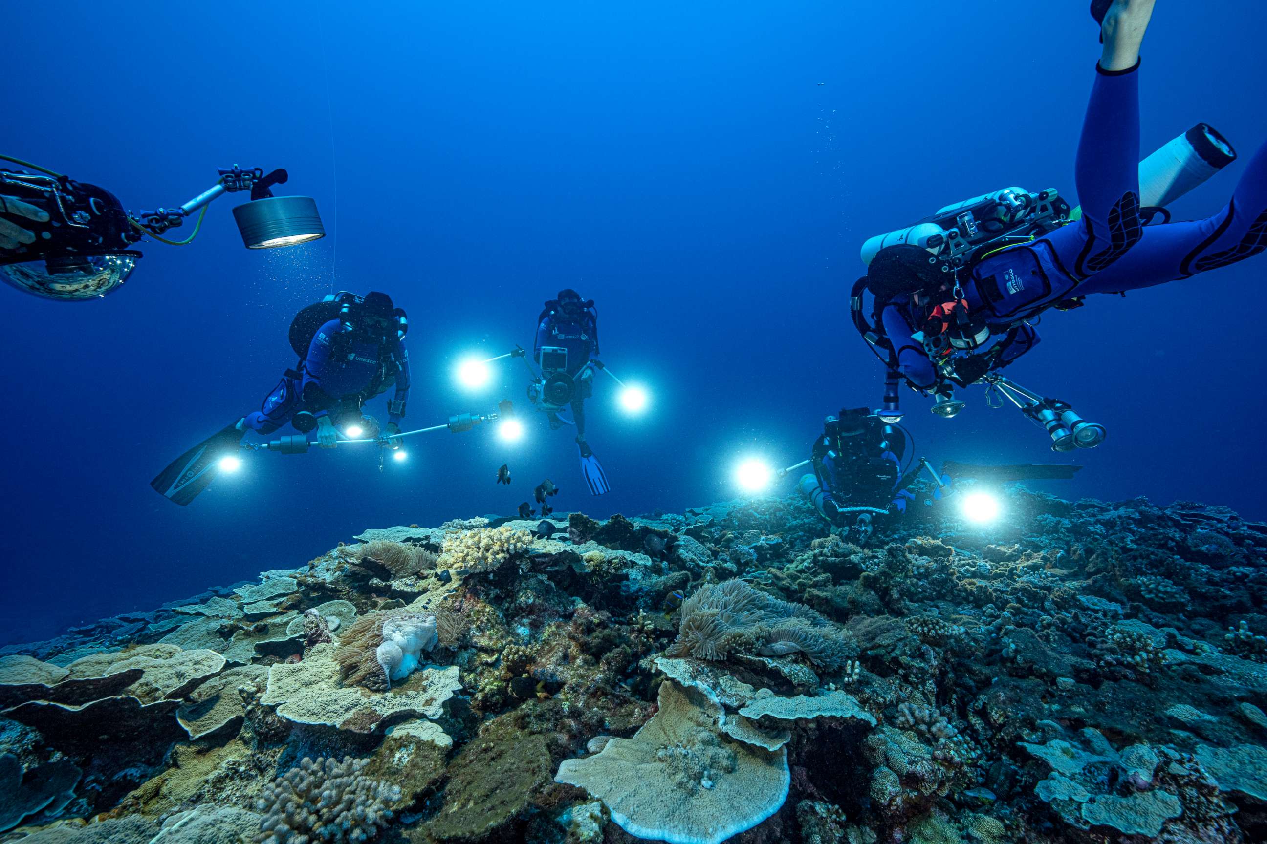 PHOTO: Researchers for the French National Centre for Scientific Research study corals in the waters off the coast of Tahiti of the French Polynesia in December 2021.