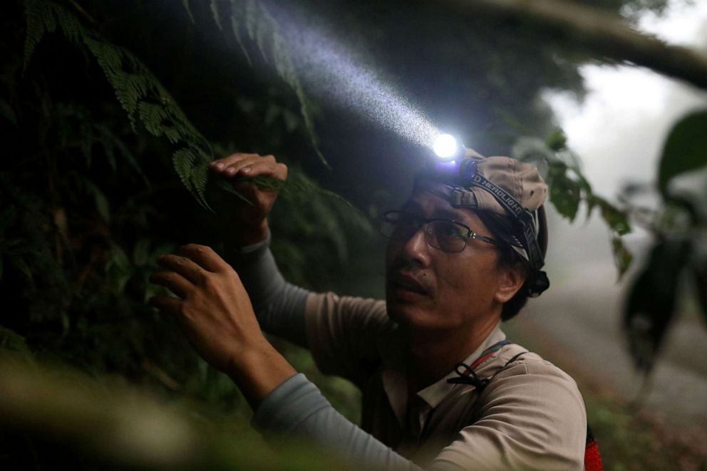 PHOTO: Hung Hsin-chieh, who works as a research assistant at Dr. Cecilia Koo Botanic Conservation Center, looks for plants to collect in Jin Shui forest, in Pingtung, Taiwan, Sept. 10, 2020.