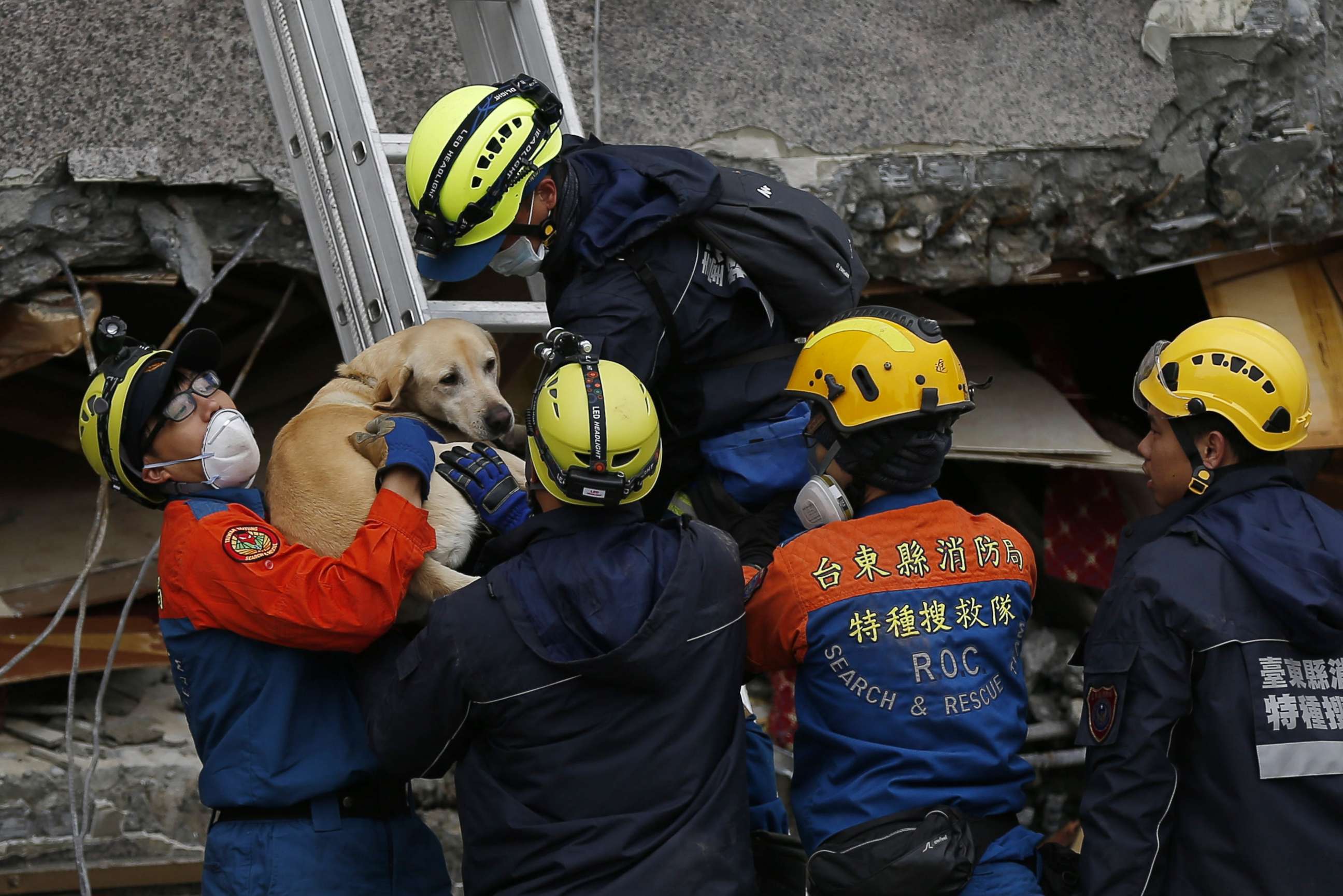 PHOTO: Rescue services rescue a pet dog from a damaged building in Hualien, eastern Taiwan, Feb. 7, 2018.