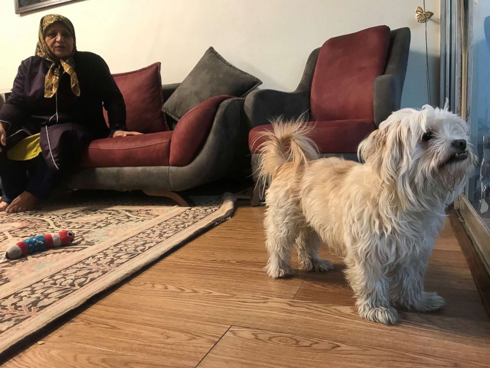 PHOTO: A woman sits on a couch while taking care of her daughter's dog in Tehran, Iran, Jan. 31, 2019.