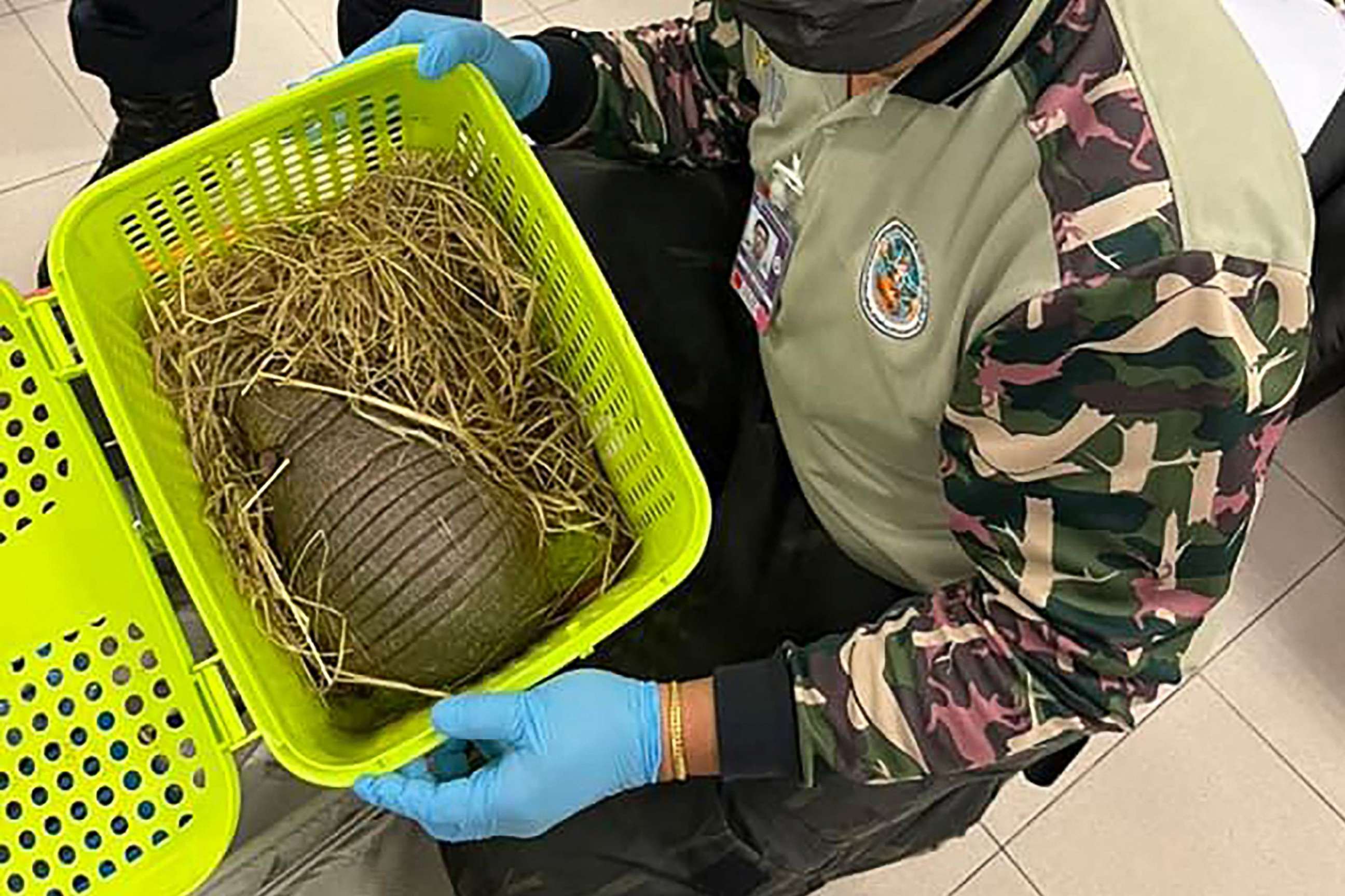 PHOTO: This handout photo taken on June 27, 2022, shows an official with an armadillo rescued after being found in a passenger's luggage at Suvarnabhumi International Airport in Bangkok, Thailand. 