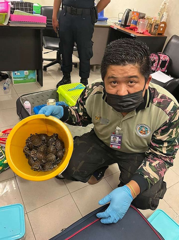 PHOTO: This handout photo, taken on June 27, 2022, shows an official with turtles rescued after being found in a passenger's luggage at Suvarnabhumi International Airport in Bangkok, Thailand.