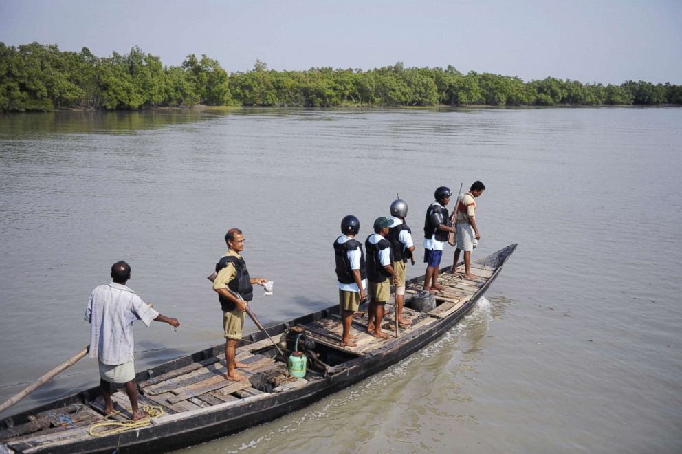 PHOTO: Indian forest workers ride a boat during a week-long tiger census in the Sundarbans, March 4, 2010. Conservation group WWF India has cited saying the government estimates that there are just over 1,400 tigers left in the wild.