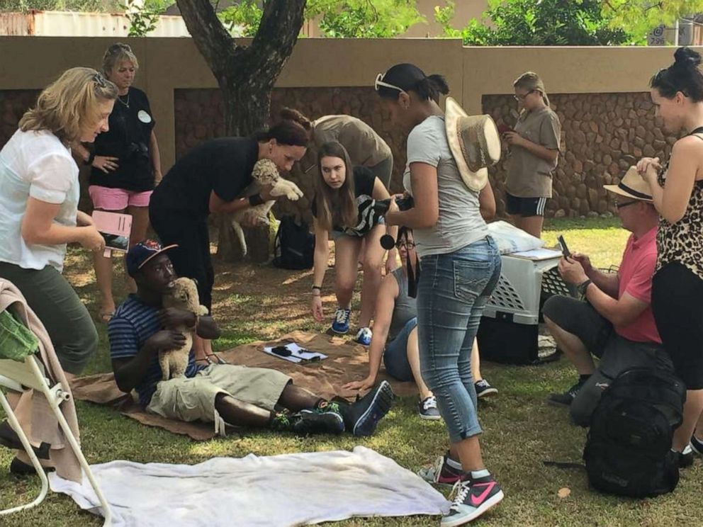 PHOTO: Cubs are passed around to tourists at a lion park in South Africa in February 2015.