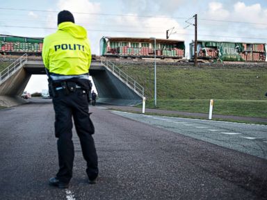 6 people killed in deadly train accident in Denmark