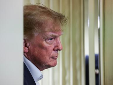 OpenAI CEO calls for AI pacing as Trump insists he's not downplaying risk