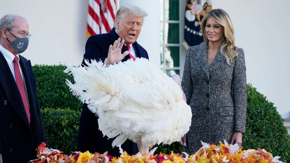 PHOTO: President Donald Trump pardons Corn, the national Thanksgiving turkey, in the Rose Garden of the White House, Nov. 24, 2020, in Washington, as first lady Melania Trump and National Turkey Federation Chairman Ron Kardel of Walcott, Iowa, look on.
