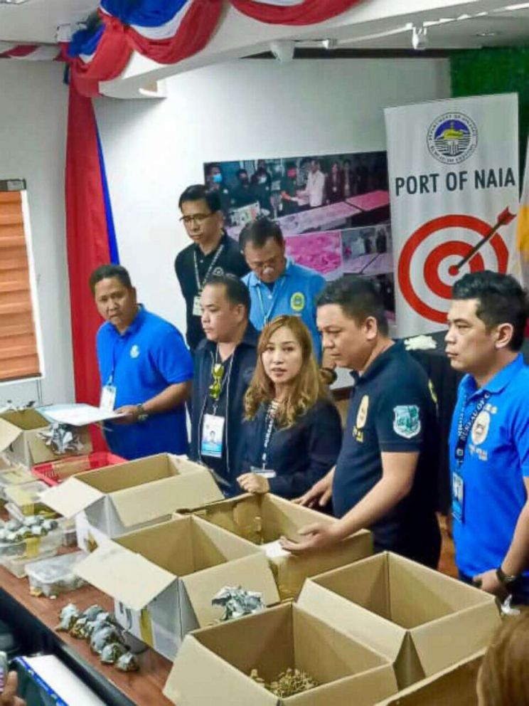 PHOTO: A total of 1,529 live exotic turtles were found by the authorities at Manila International Airport.