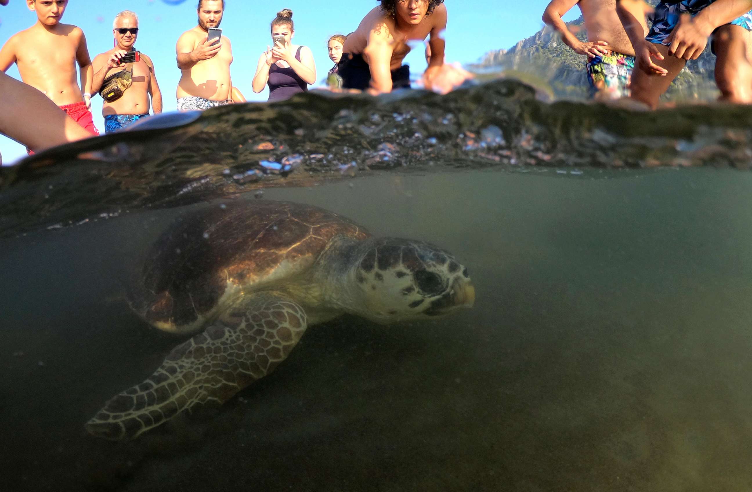 PHOTO: A sea turtle swims back to the sea following her release after treatment at the Sea Turtle Rescue Center (DEKAMER) as tourists look on at Iztuzu Beach near Dalyan in Mugla, Turkey, Aug. 25, 2018.