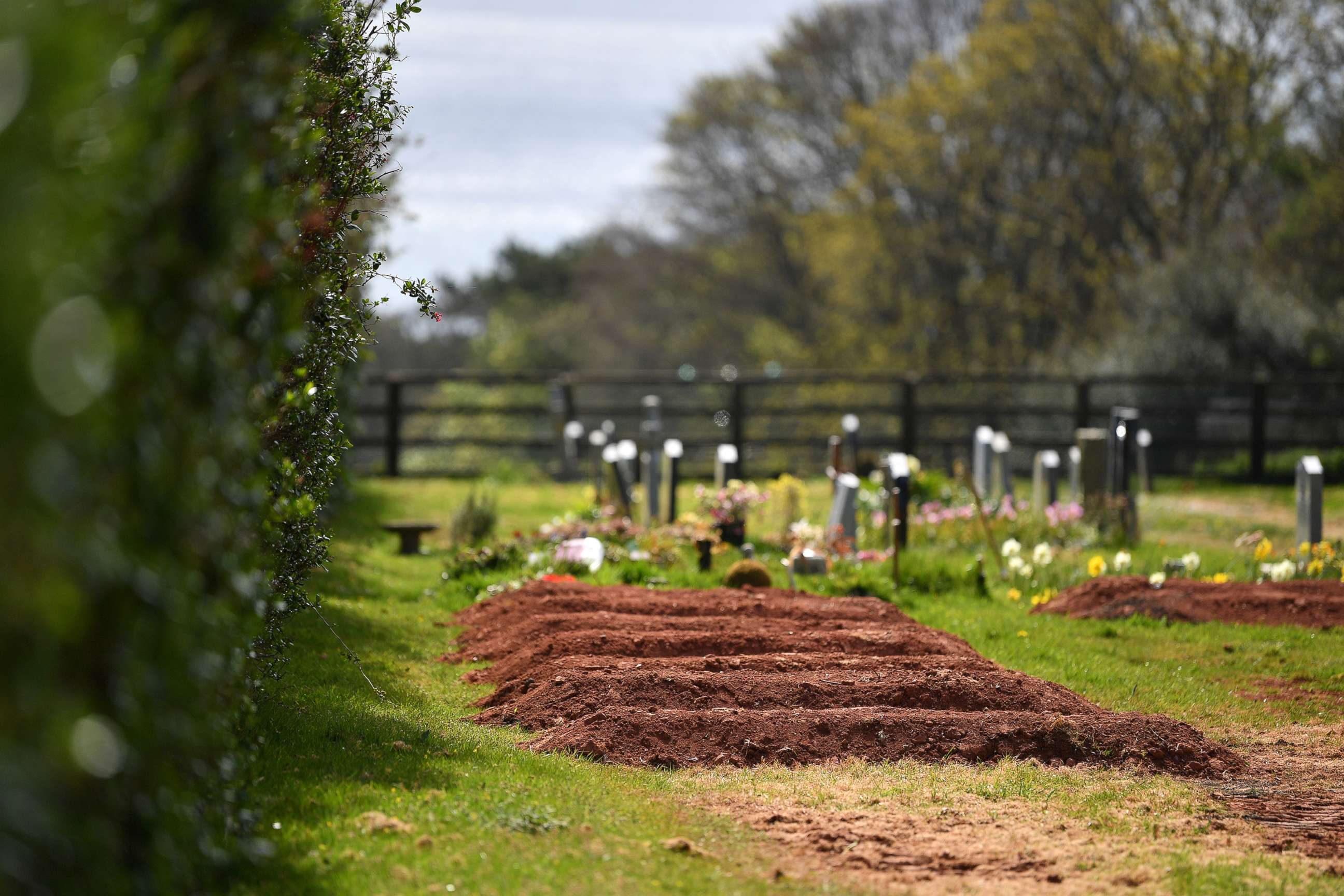 PHOTO: Pre-dug graves for Covid-19 deaths are seen in Maker Cemetery on April 14, 2020 in Maker, England.