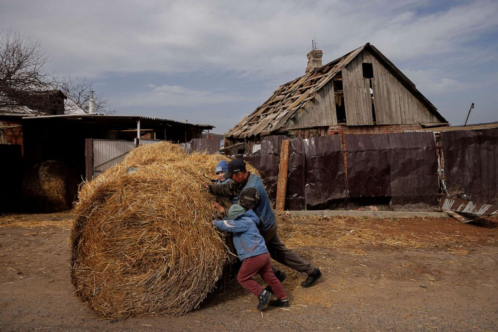 PHOTO: Ivan Bonderenko and his grandsons Marat and Renat push a bale of hay in the village of Yakovlivka, outside Kharkiv, after it was attacked in an aerial bombardment as Russia's attack on Ukraine continues, April 2, 2022.