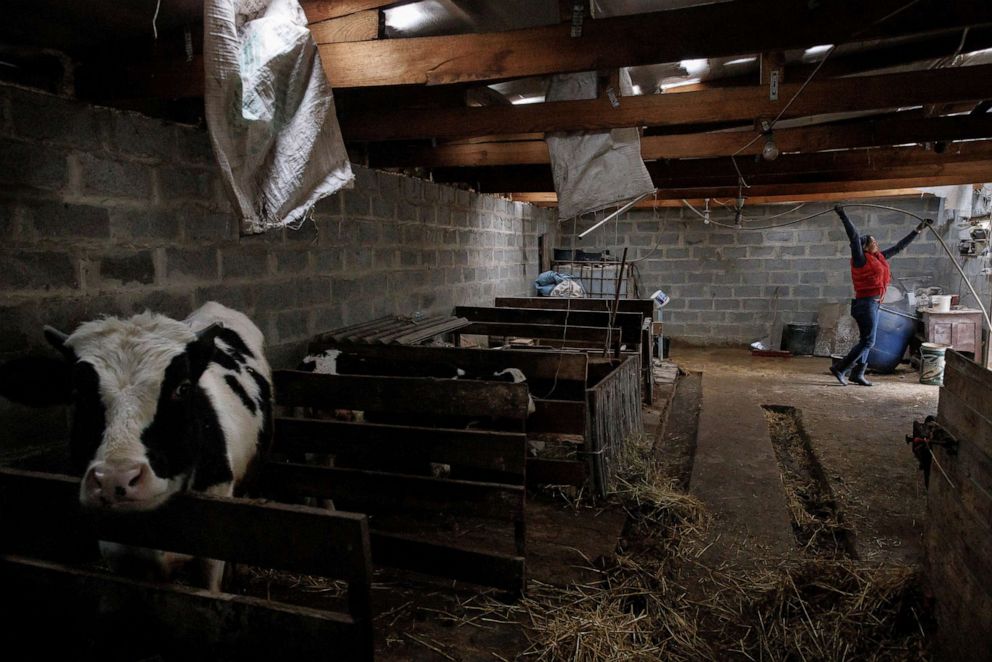 PHOTO: Anya Bonderenko takes care of her cousin's farm in the village of Yakovlivka outside Kharkiv, Ukraine, April 3, 2022. 